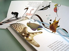 brochure-design-2